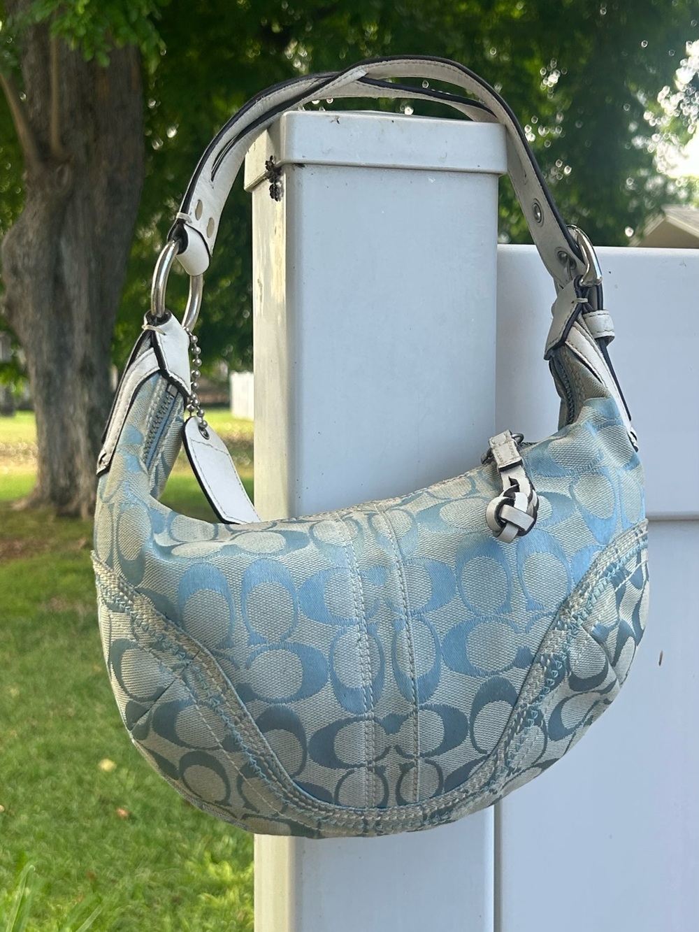Coach Y2K Baby Blue Hobo Bag Chic